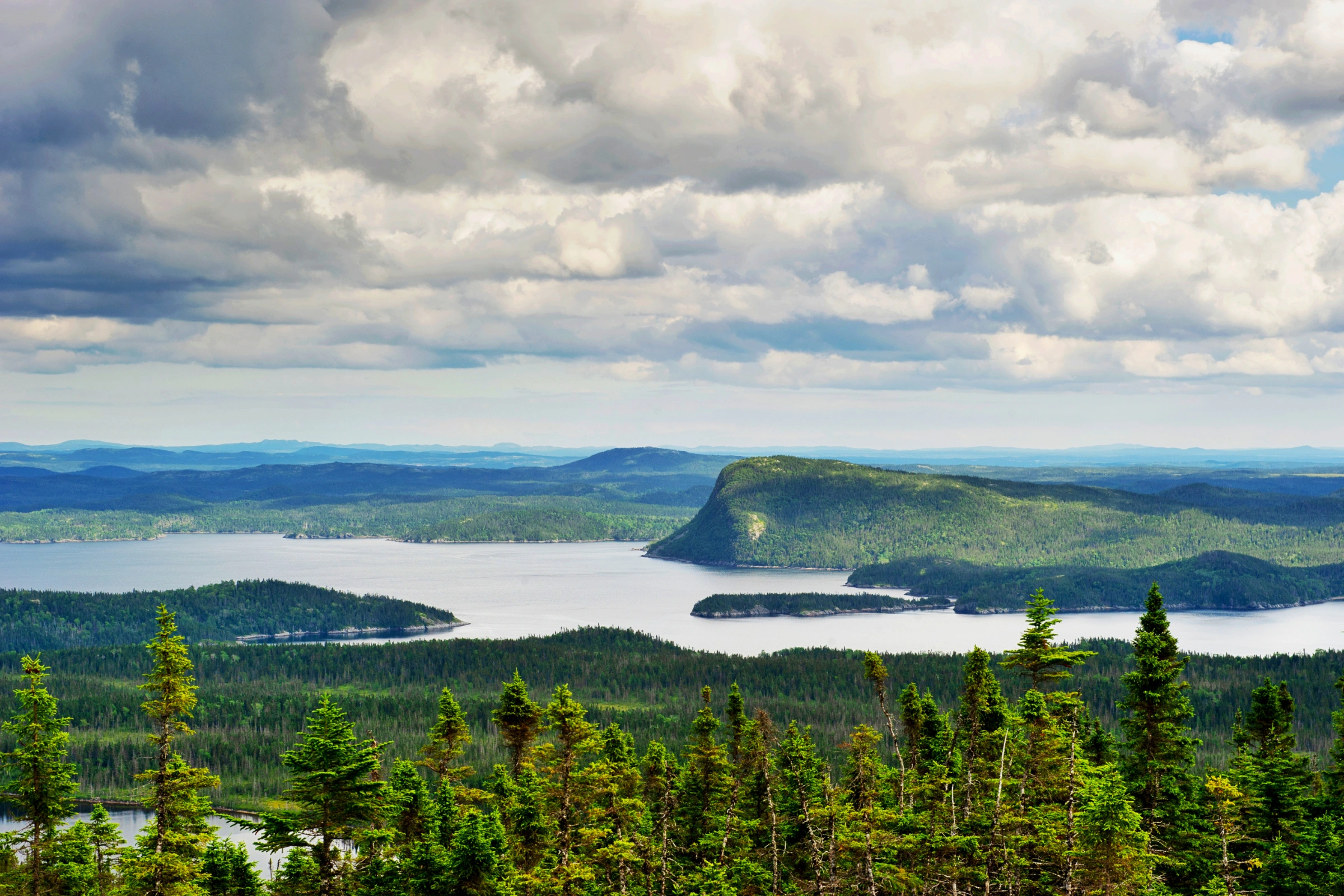 Terra Nova National Park, Newfoundland.webp